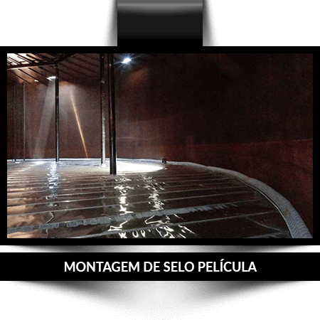 servicos-selo-pelicula-montagem-01