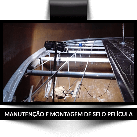 servicos-home-selo-pelicula