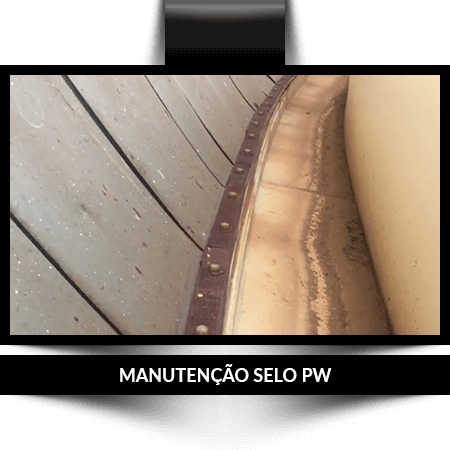 servicos-home-selo-pw